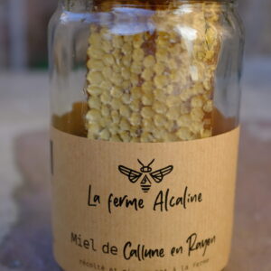 Miel de Bruyère Callune en rayon